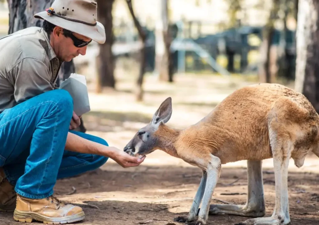 Untitled design 2024 08 01T162816.253